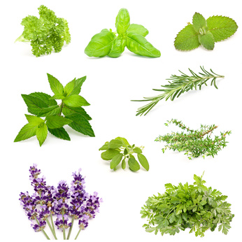 herb collection